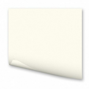 КАРТОН ЦВЕТНОЙ ПЛАКАТ 50*70 СМ 300 ГР/М2 "FOLIA" ЖЕМЧУЖНО БЕЛЫЙ