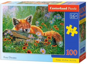 ПАЗЛЫ 100 ЭЛЕМЕНТОВ 