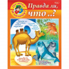 РАСКРАСКА "КНИЖКА МАЛЕНЬКОМУ ПОЧЕМУЧКЕ" А5 8Л