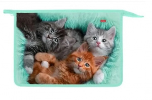 ПАПКА ДЛЯ ТЕТРАДЕЙ НА МОЛНИИ А4 "КОТИКИ БЫВАЮТ РАЗНЫЕ" ПЛАСТИК 34*24*7,5СМ