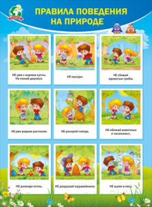 ПЛАКАТ ОБУЧАЮЩИЙ А2 "ПРАВИЛА ПОВЕДЕНИЯ НА ПРИРОДЕ"