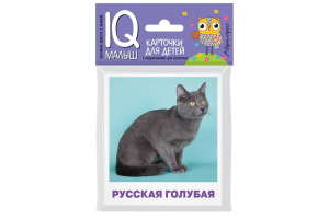 ДИДАКТИЧЕСКОЕ ПОСОБИЕ УМНЫЙ МАЛЫШ ПОРОДЫ КОШЕК