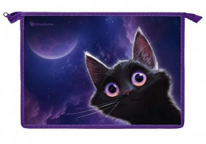 ПАПКА ДЛЯ ТЕТРАДЕЙ НА МОЛНИИ А4 "ИГРИВЫЙ КОСМОКОТИК" ПЛАСТИК 32,5*23*5.5СМ