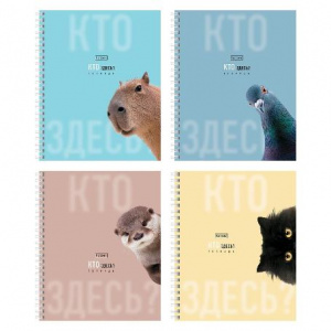 ТЕТРАДЬ 48Л КЛЕТКА "КТО ЗДЕСЬ?"